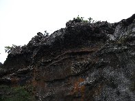 otta Intraleo-20100515 040